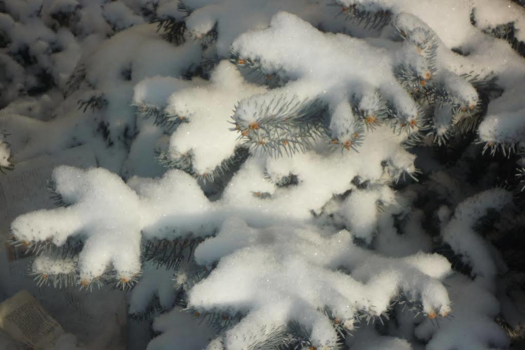 Penzion Tatras Veľka Lomnica Bagian luar foto